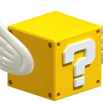 MYSTERY BOX [1 ITEM WORTH $119] - nickscacchetti