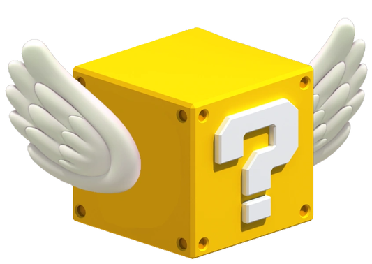 MYSTERY BOX [1 ITEM WORTH $119] - nickscacchetti